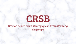 Programme CRSB du cabinet SHECAN GROUP-1