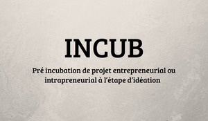 Programme INCUB du cabinet SHECAN GROUP-1 Programme INCUB du cabinet SHECAN GROUP-1