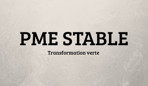 Programme PME stable du cabinet SHECAN GROUP-1 Programme PME stable du cabinet SHECAN GROUP-1
